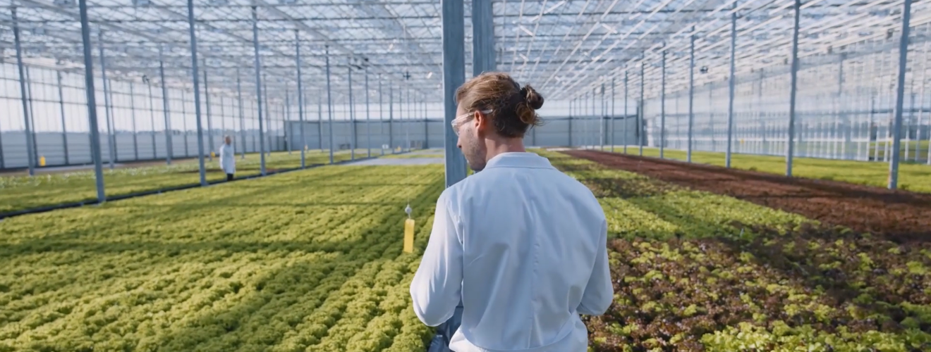 Green Research2