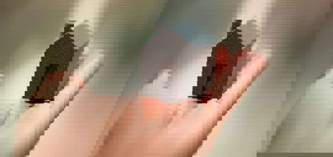 Iemand houdt een klein zwart huisje in de hand.